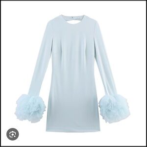 NWT Zara Mini Dress with Tulle Cuffs